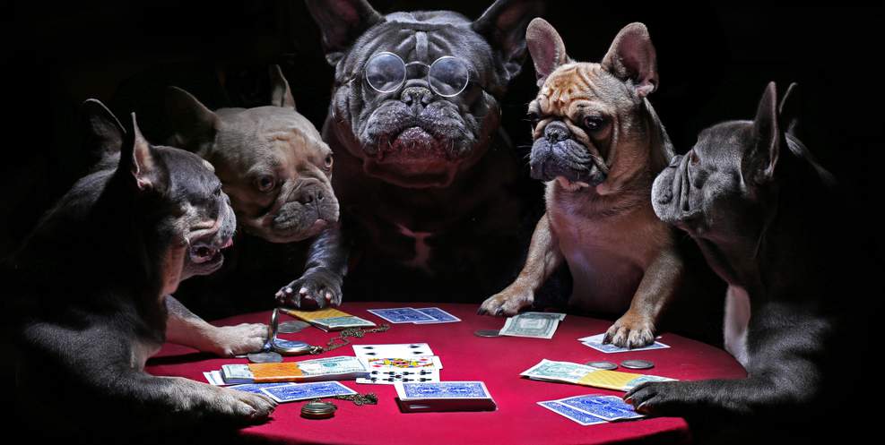 Funny Gambling Quotes Gamblers Daily Digest