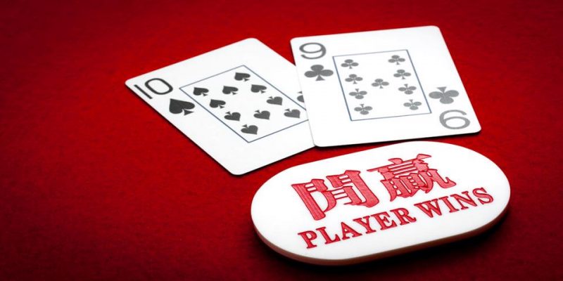Giới thiệu sơ lược về hướng dẫn chơi bài Poker