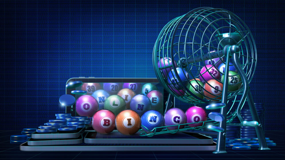 Why Bingo Is Rising in Popularity