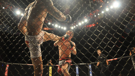 Your guide to betting on UFC