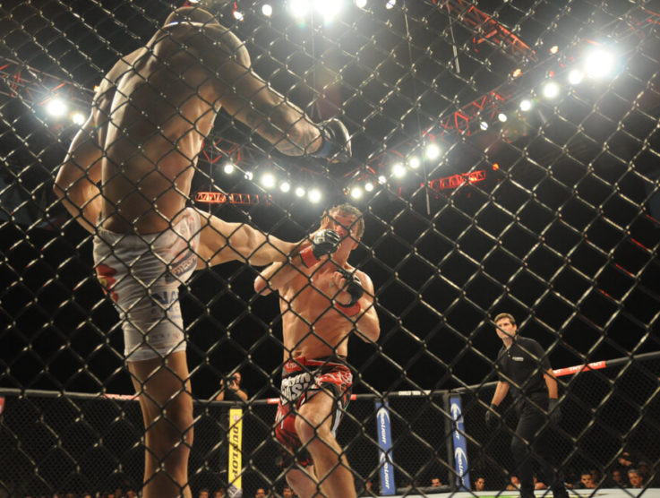 Your guide to betting on UFC